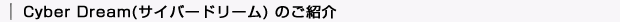 サイバードリームのご紹介